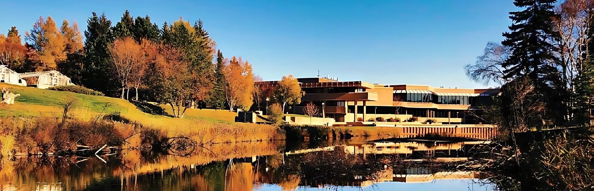 Lakehead University: A Deep Dive into Premier Research Opportunities at Canada’s Leading Institution